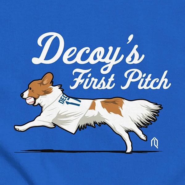 Decoy's First Pitch Tシャツ ブルー