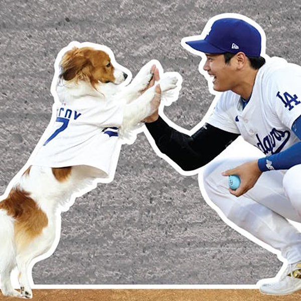 MLB ロサンゼルス・ドジャース 大谷翔平＆デコピン スチレンスタンド