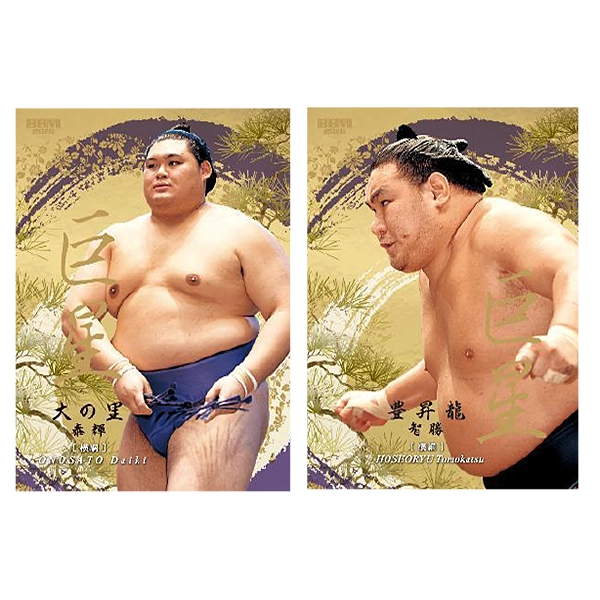 BBM 2026 大相撲カードBOX