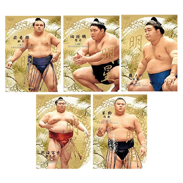 BBM 2026 大相撲カードBOX