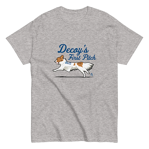 Decoy's First Pitch Tシャツ グレー