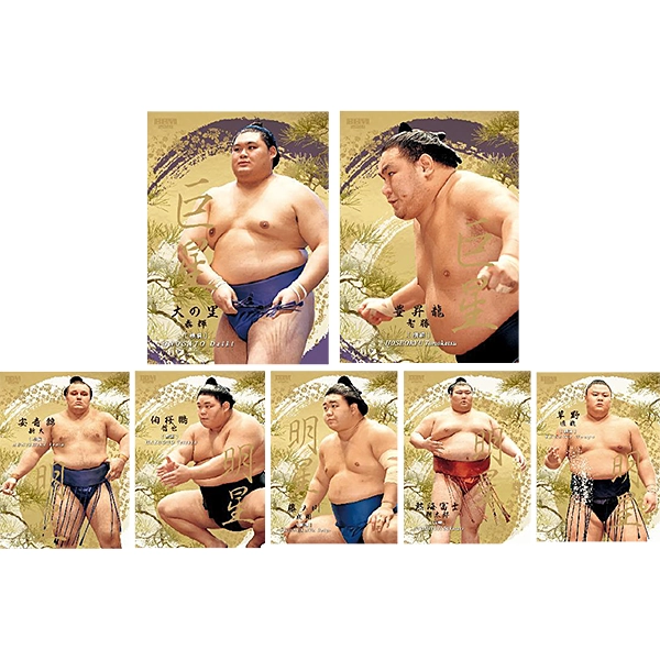 BBM 2026 大相撲カードBOX