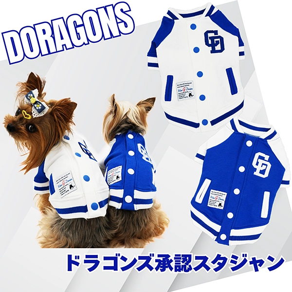 ドラゴンズ承認 スタジャン