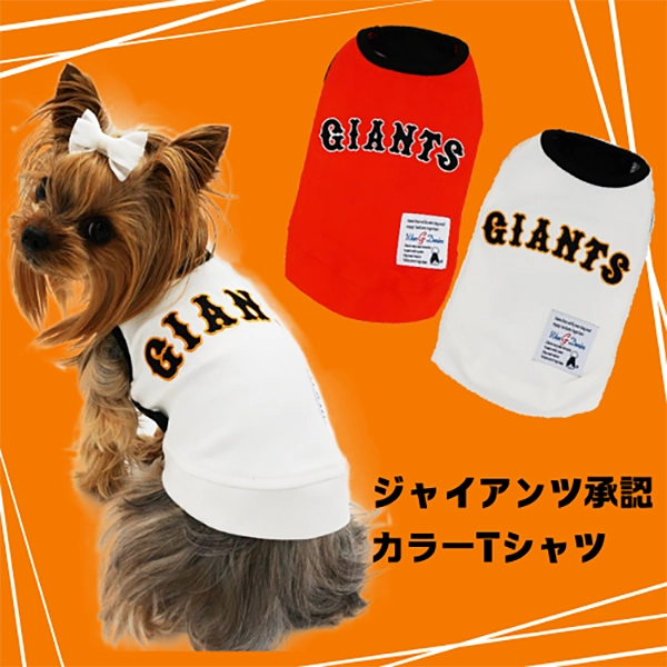 東京読売ジャイアンツ承認カラーＴシャツ